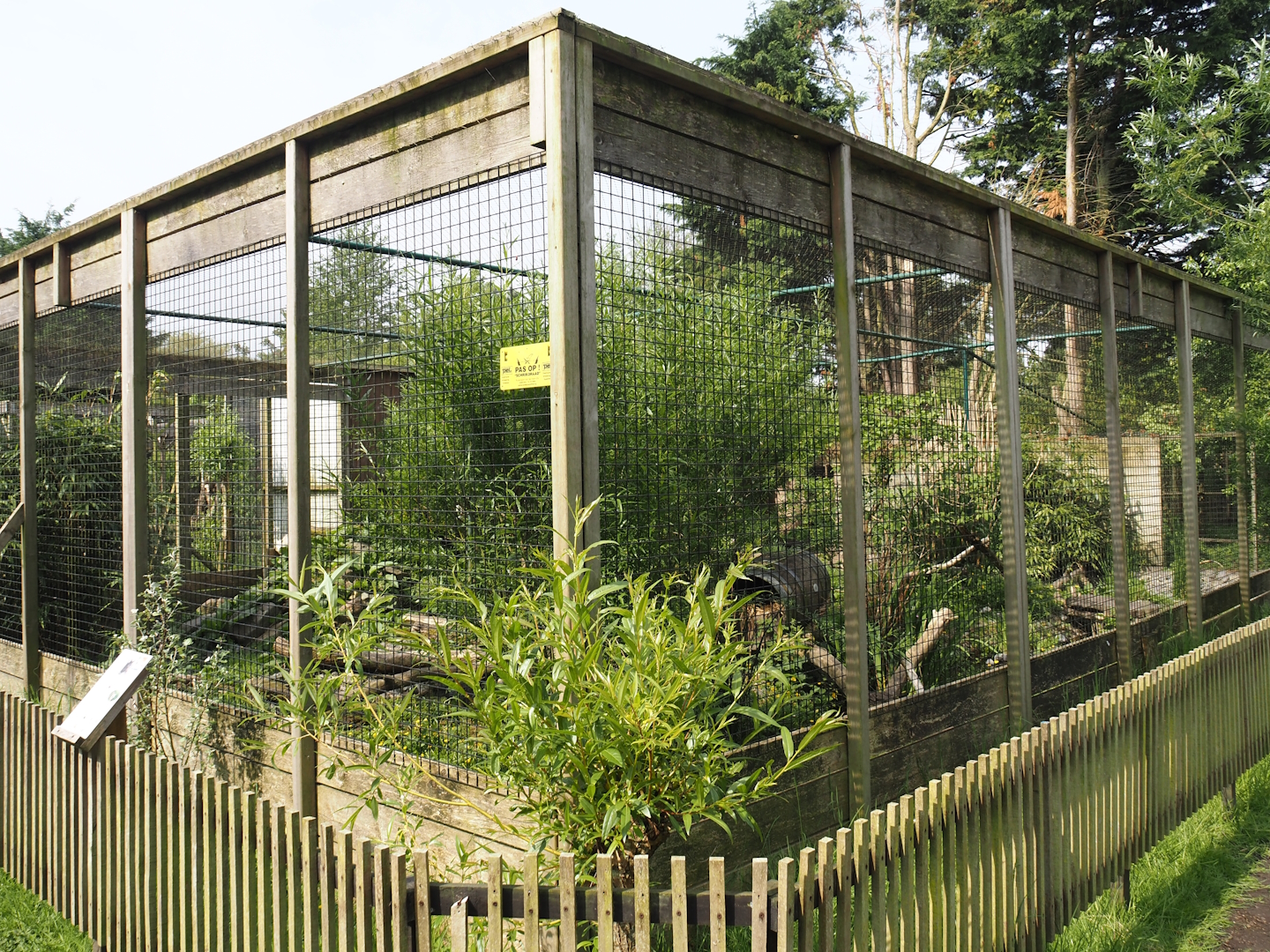 Jungle cat exhibit, 2024-05-11