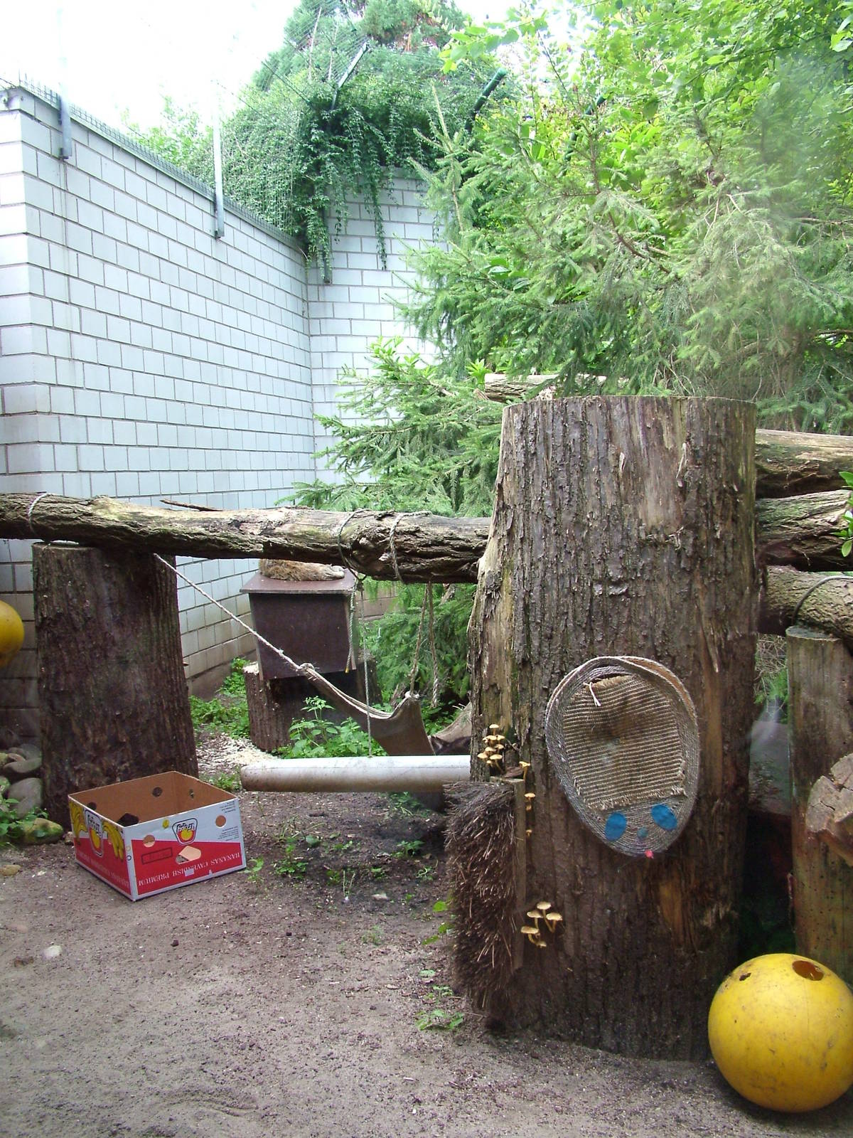 Jungle Cat Exhibit at Heidelberg, 05/09/10