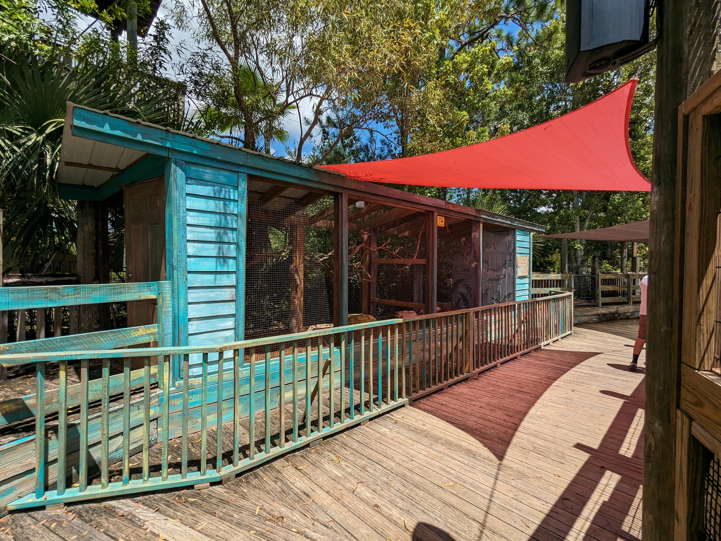 Jungle Crocs of the World -Kookaburra aviary