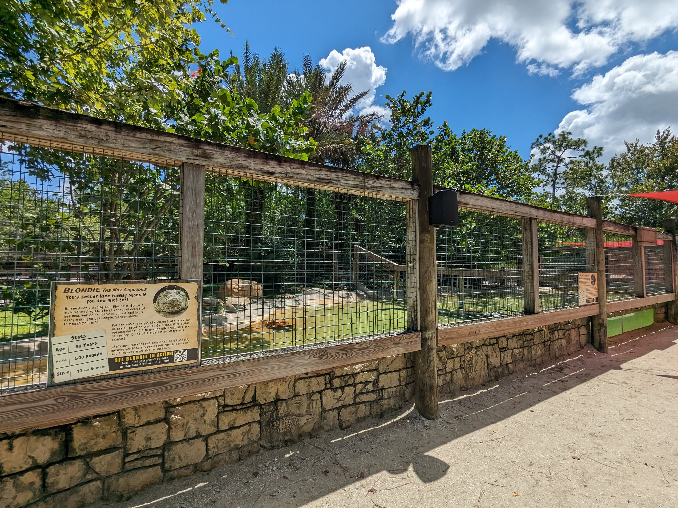 Jungle Crocs of the World  - Nile crocodiles