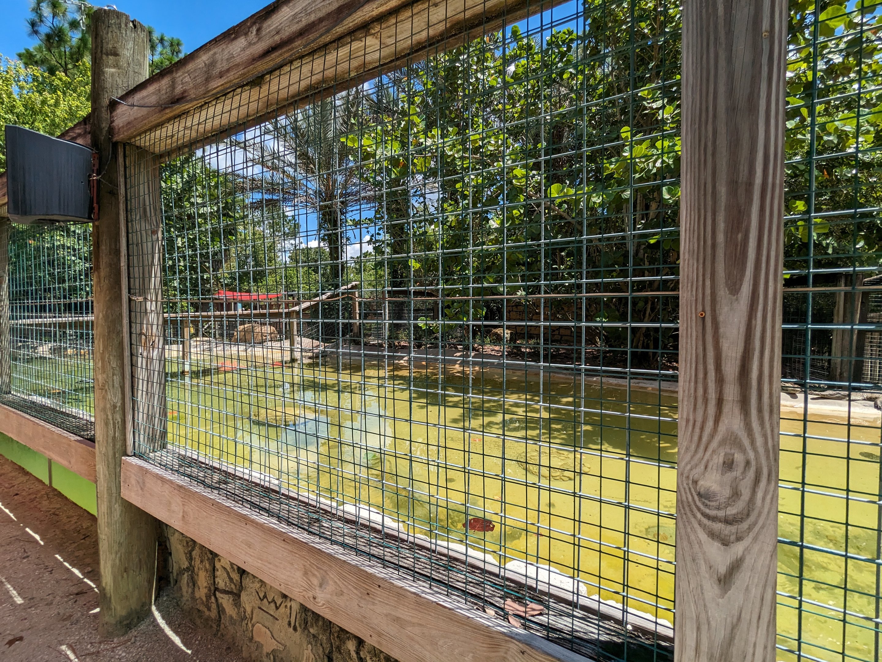 Jungle Crocs of the World - Nile crocodiles