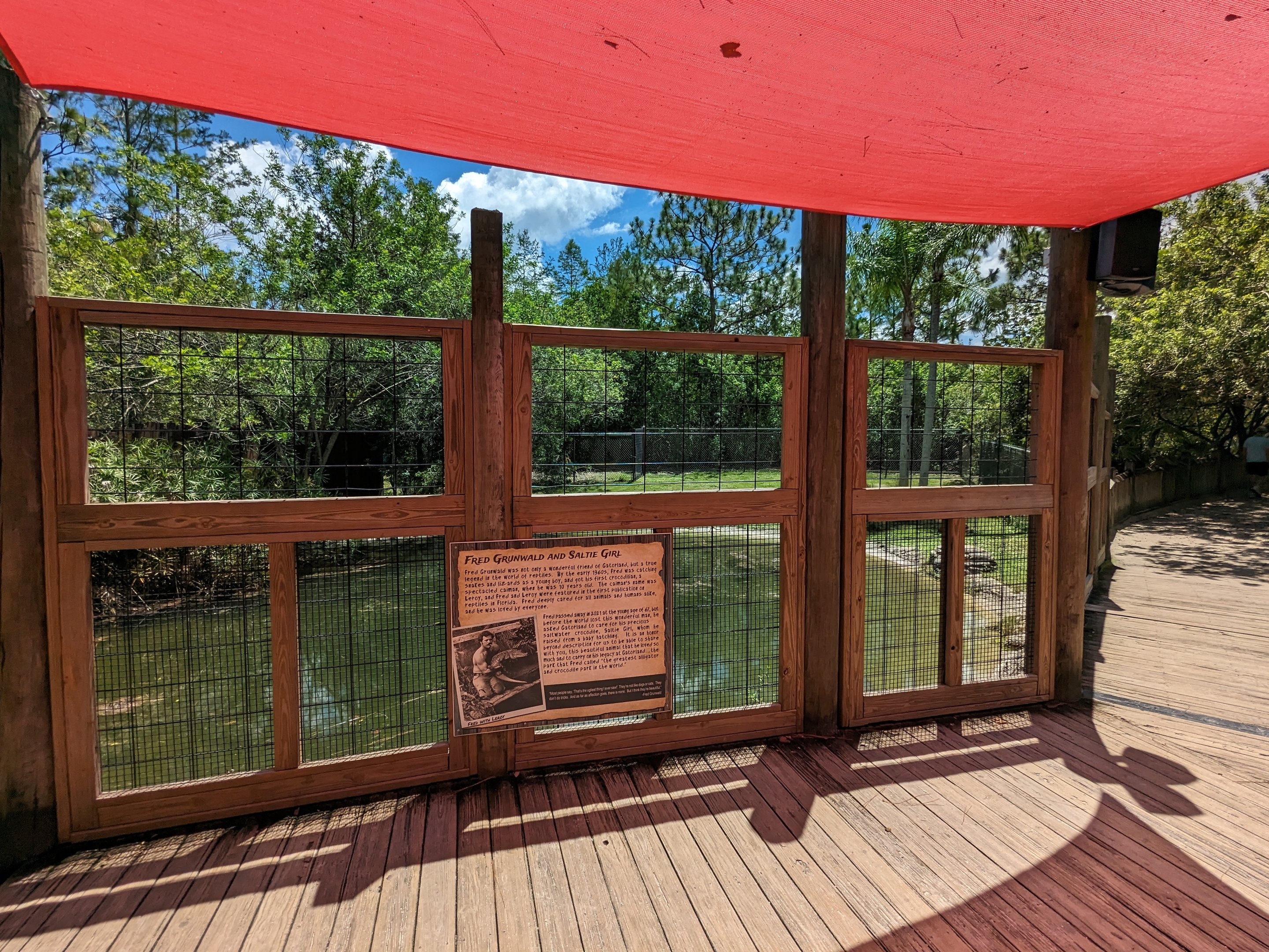 Jungle Crocs of the World  - Salt water crocodile