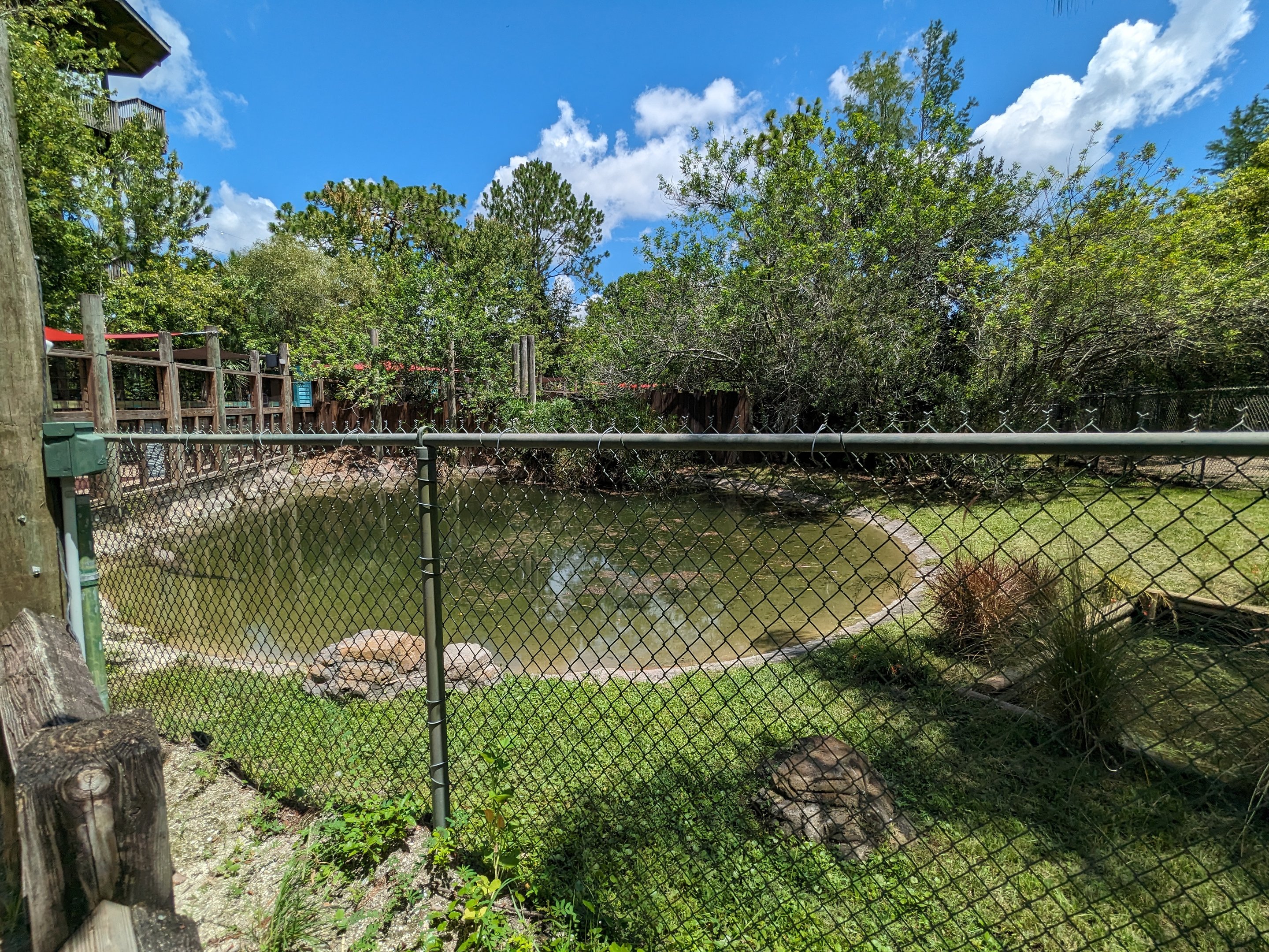 Jungle Crocs of the World  - Salt water crocodiles