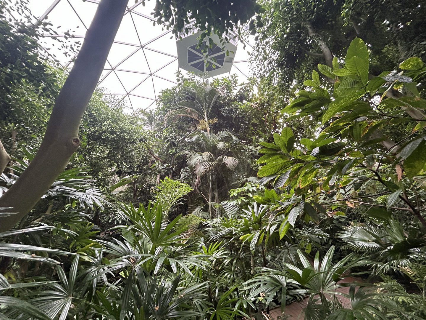 Jungle Dome Aviary - Asian Trek