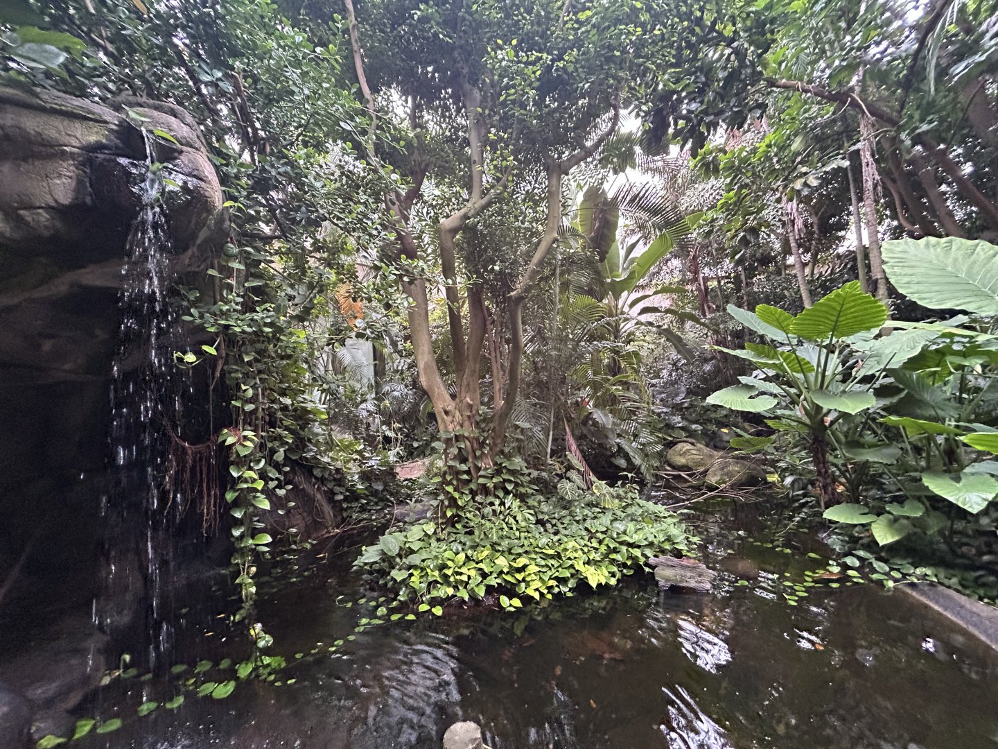 Jungle Dome Aviary - Asian Trek
