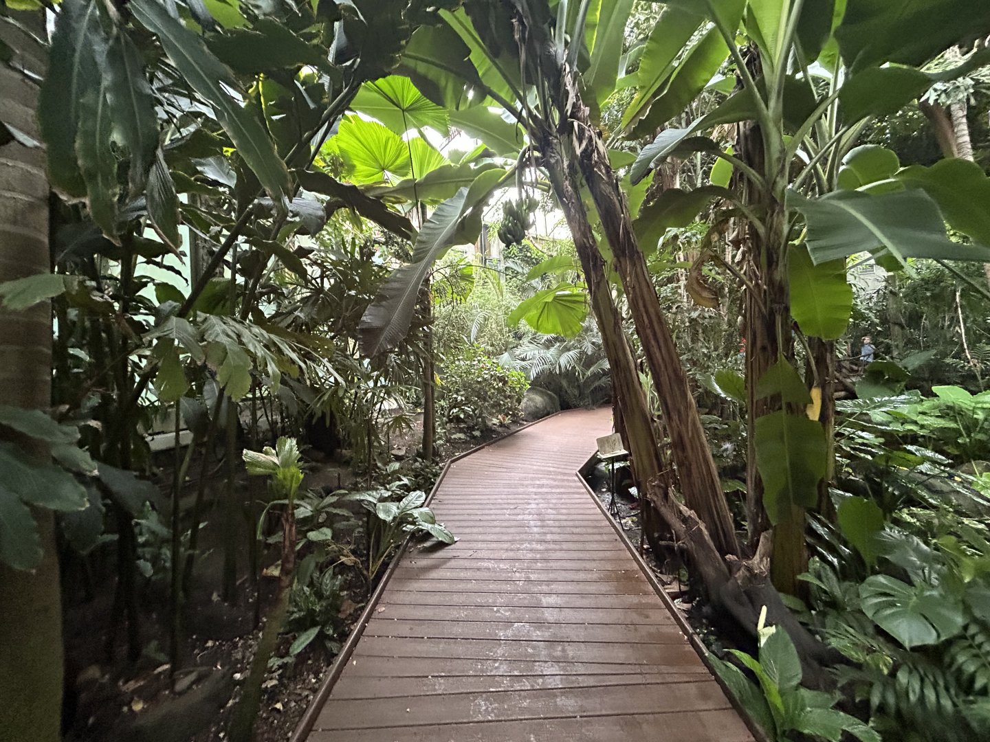 Jungle Dome Aviary - Asian Trek