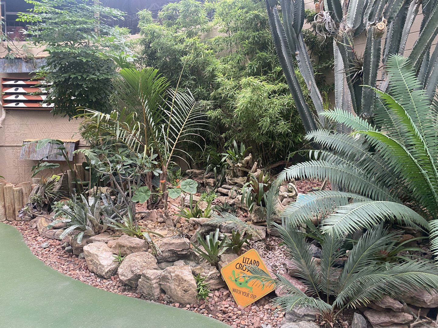 Jungle Dome - Scenery