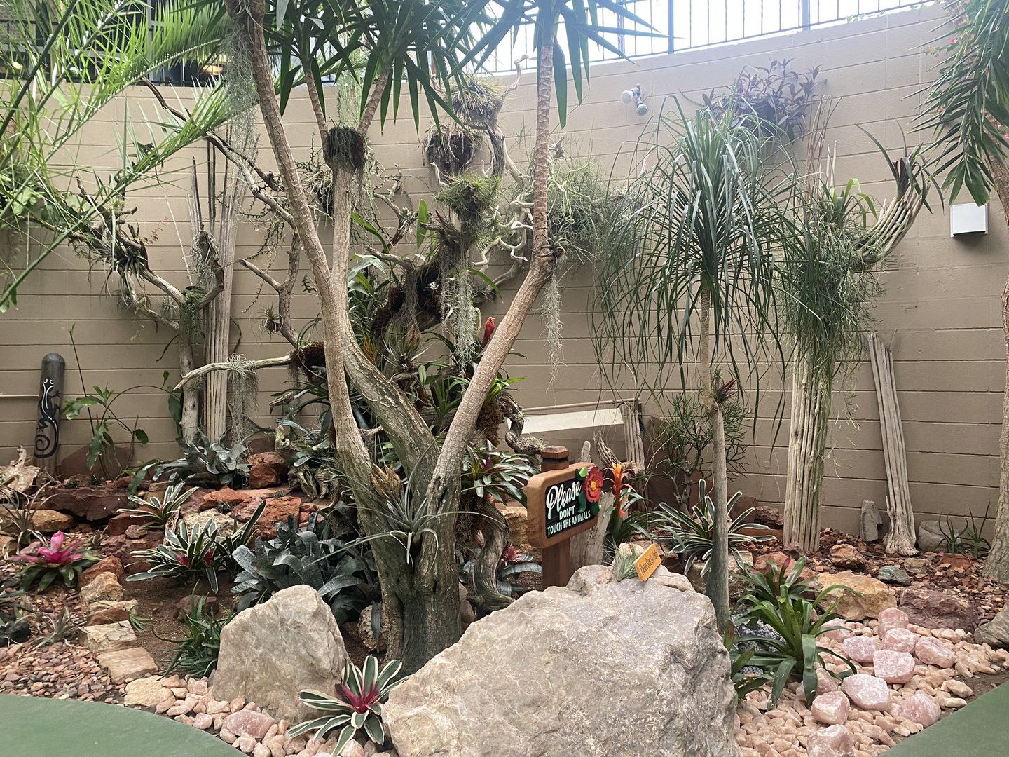 Jungle Dome - Scenery