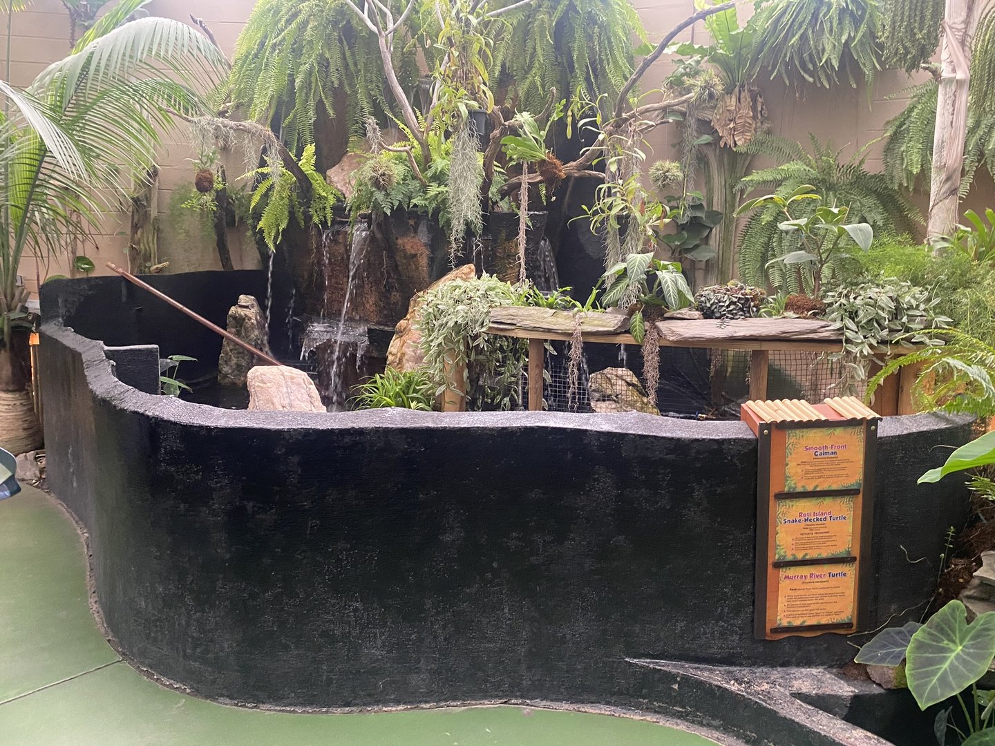 Jungle Dome - Smooth-Fronted Caiman + Roti Island Snake-Necked Turtle/Murray River Turtle Exhibits