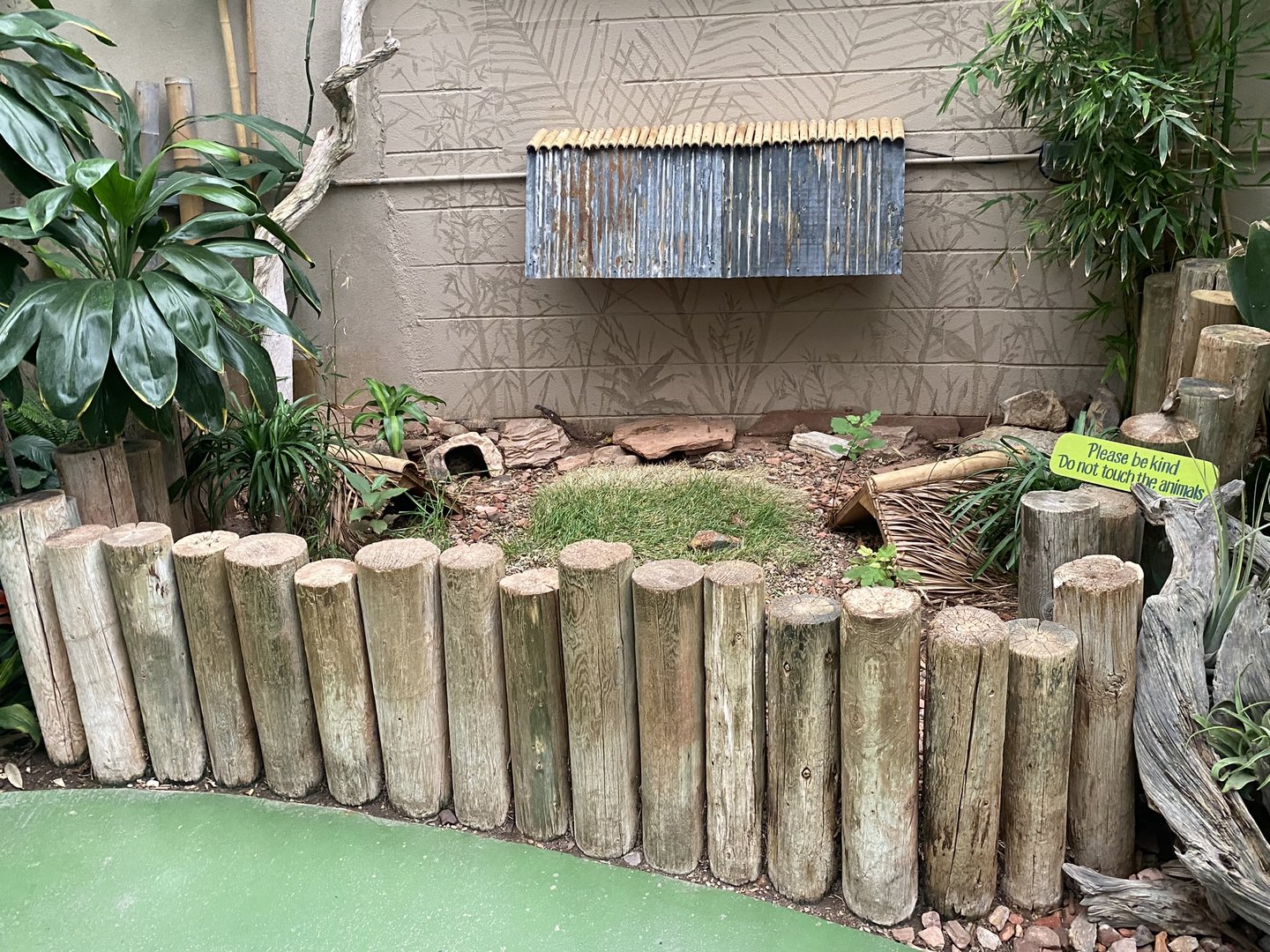 Jungle Dome - Tortoise Exhibit