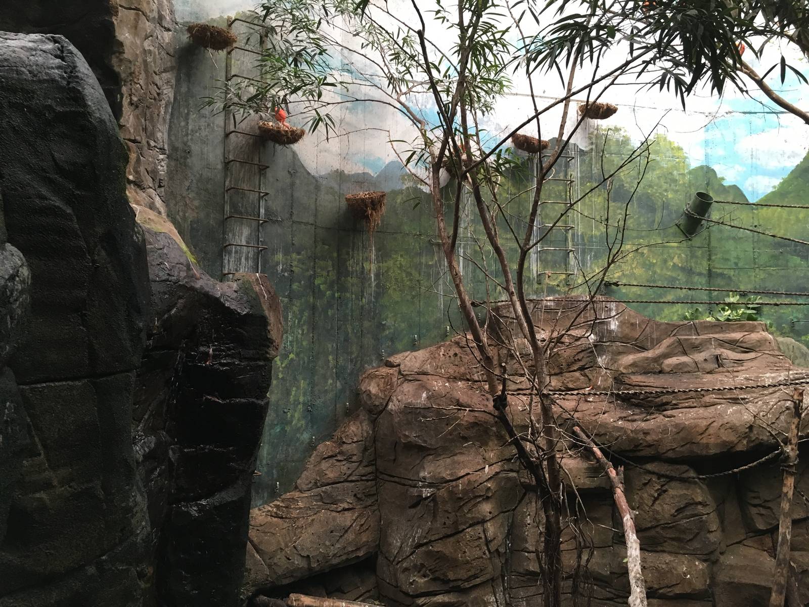 Jungle exhibit 140216