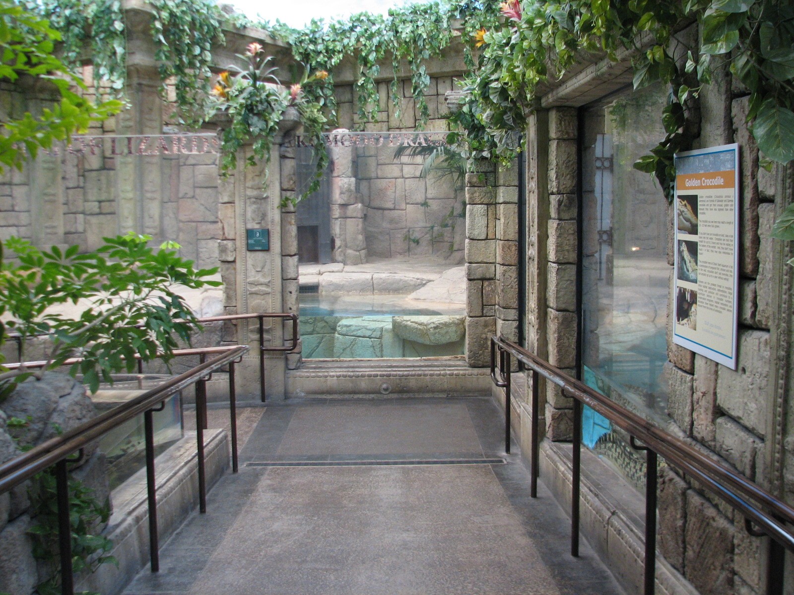 Jungle - Exhibit Path