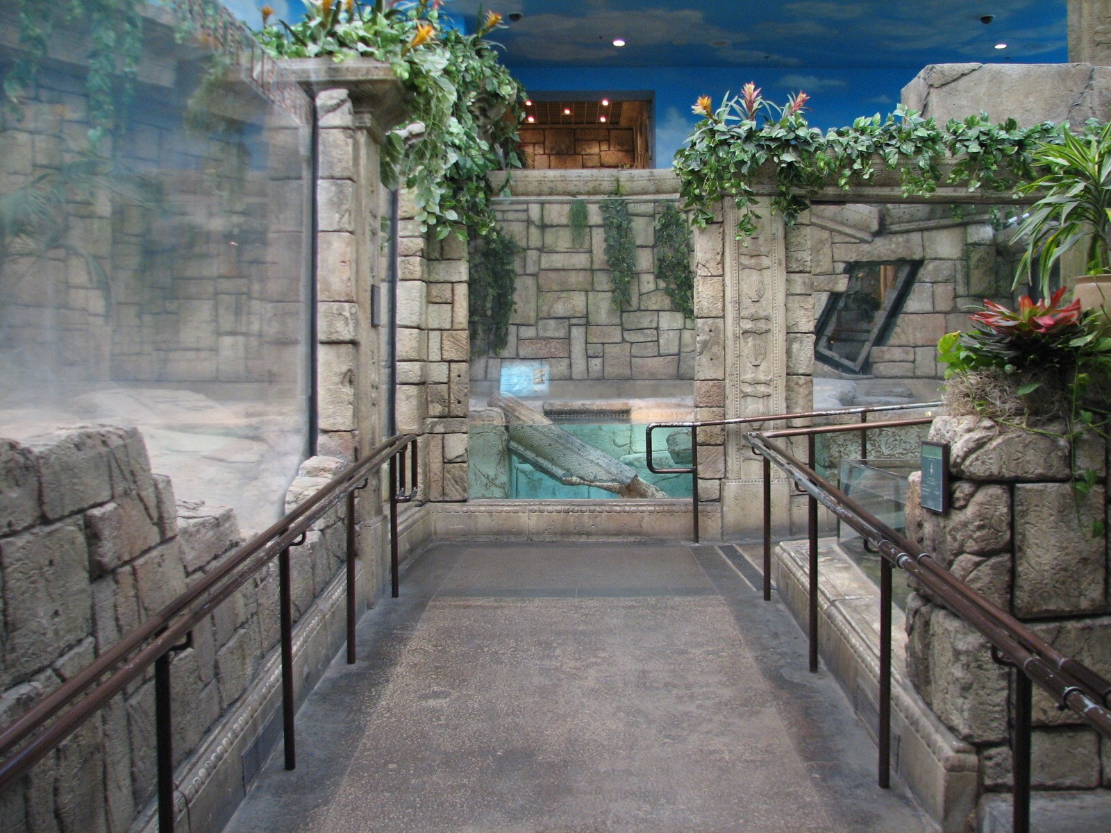 Jungle - Exhibit Path