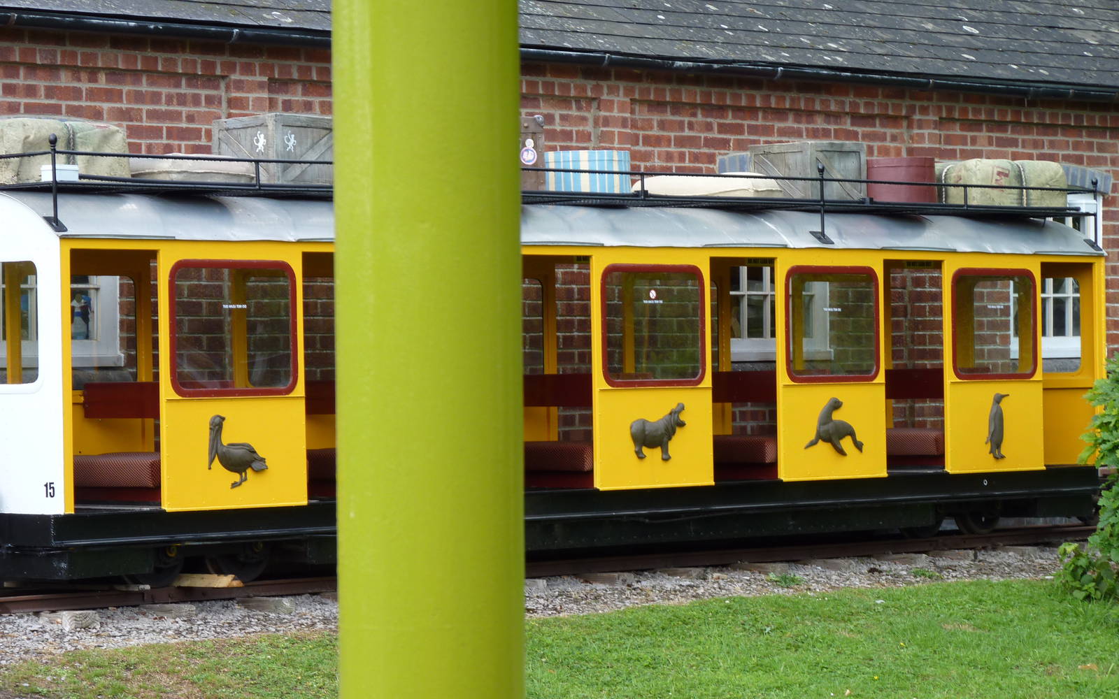 Jungle Express Carriages