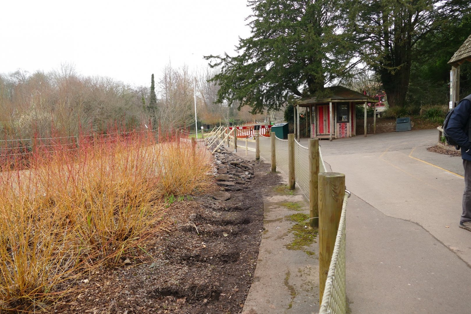 Jungle Express track, 24 January 2022