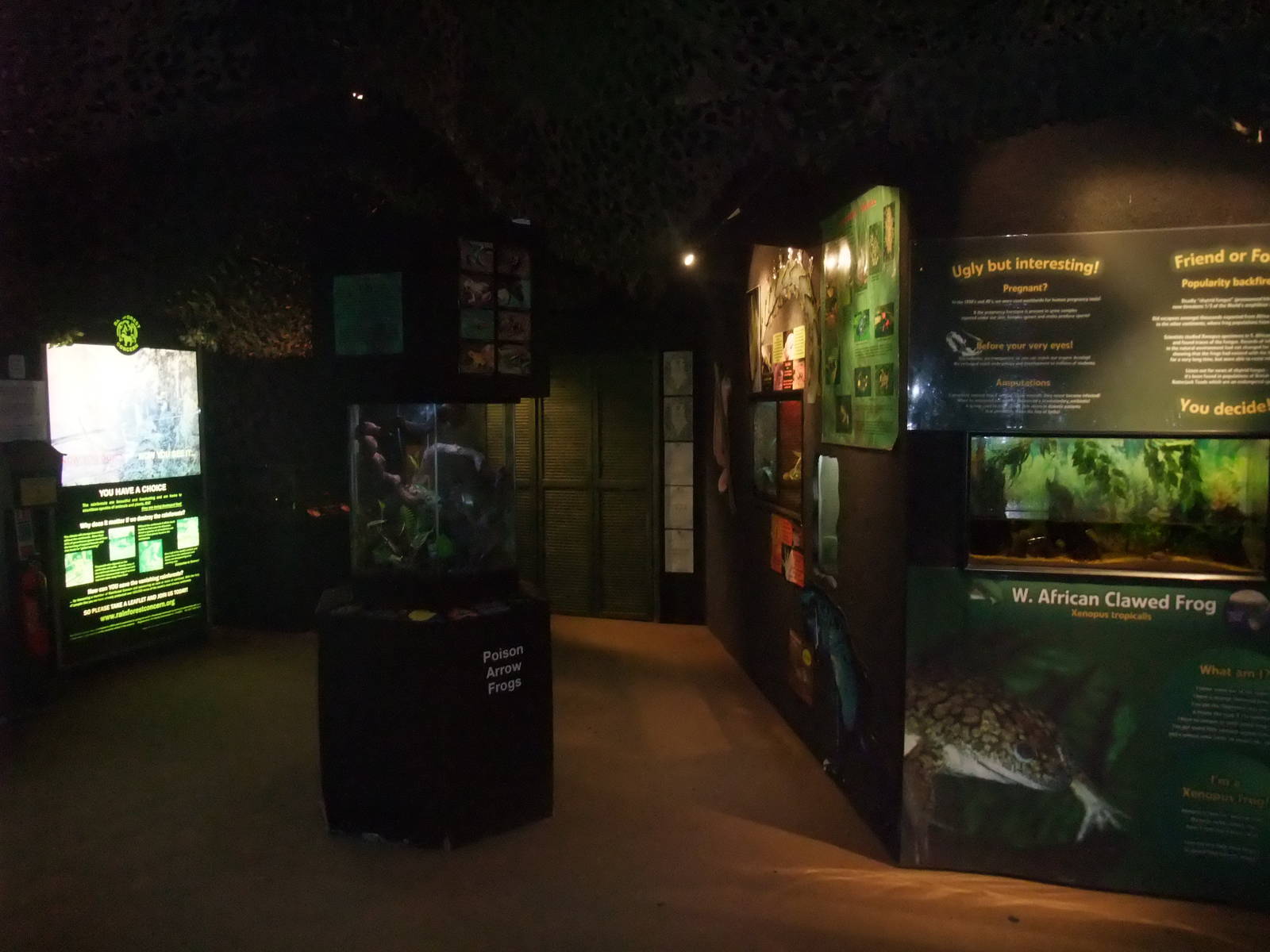 Jungle Floor at the Palms: Final Visit, 08/08/10