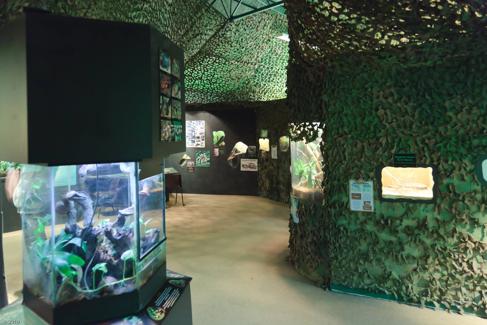 Jungle Floor - Closing Day - 05/09/2010