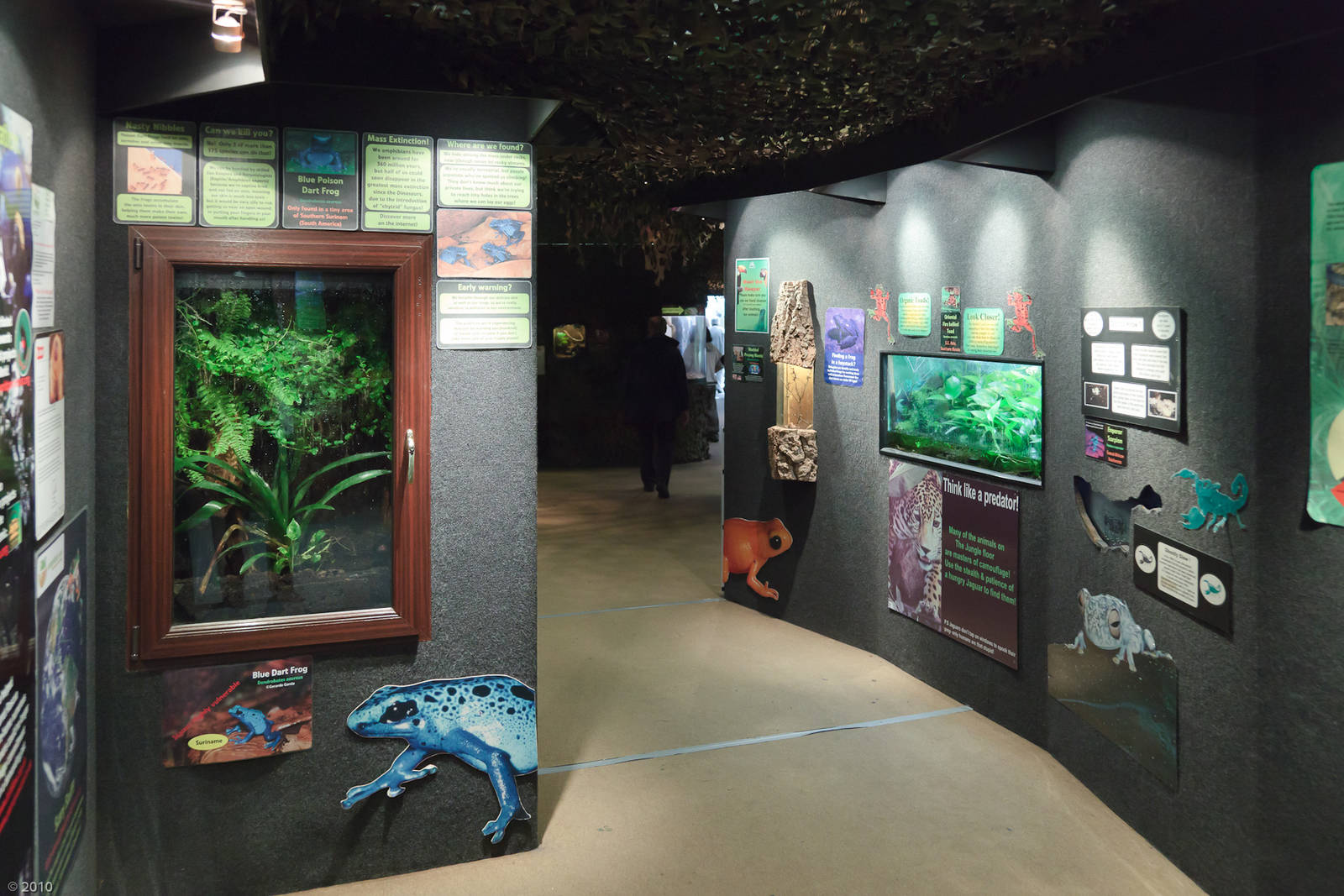 Jungle Floor - Closing Day - 05/09/2010