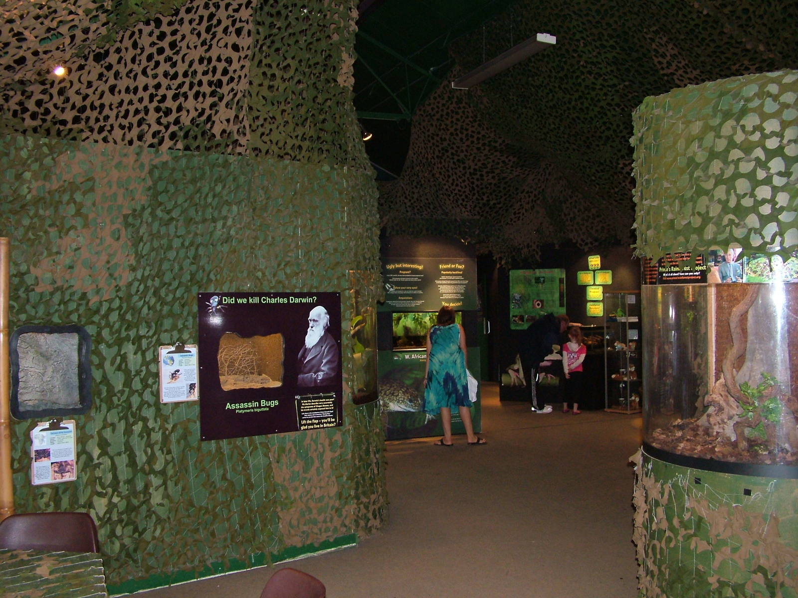 Jungle Floor Exhibit at the Palms: Final Visit, 08/08/10