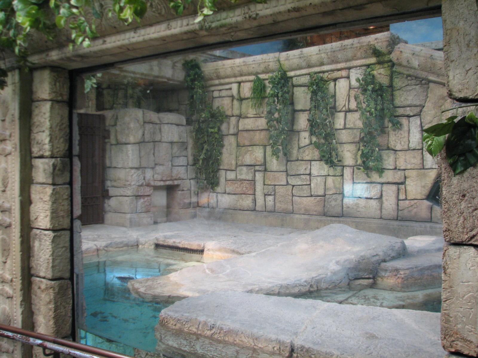 Jungle - Golden Crocodile Exhibit