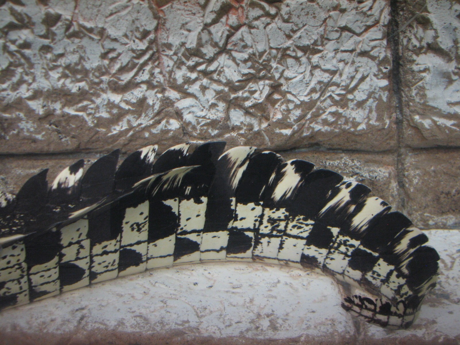 Jungle - Golden Crocodile Exhibit