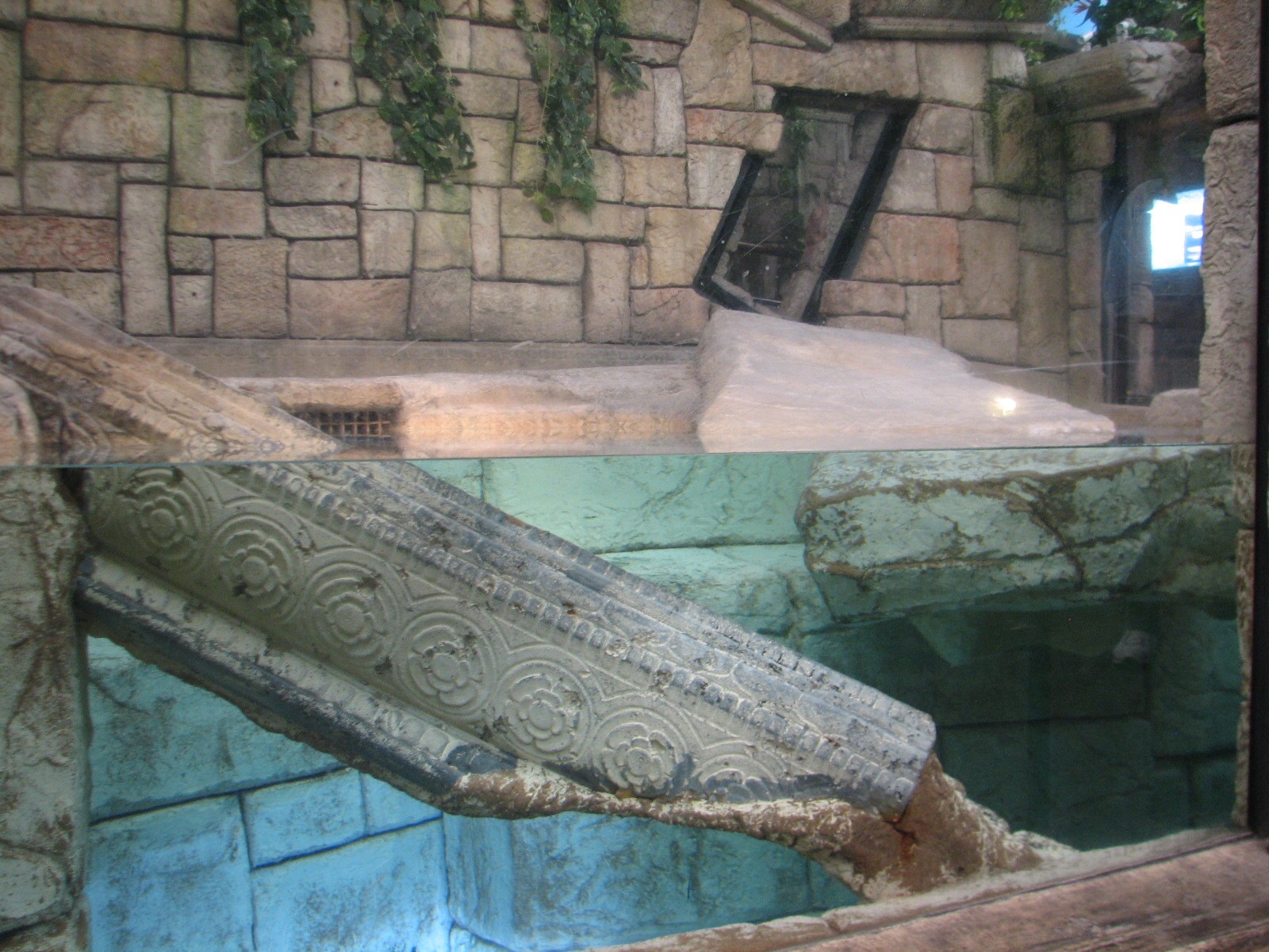 Jungle - Golden Crocodile Exhibit