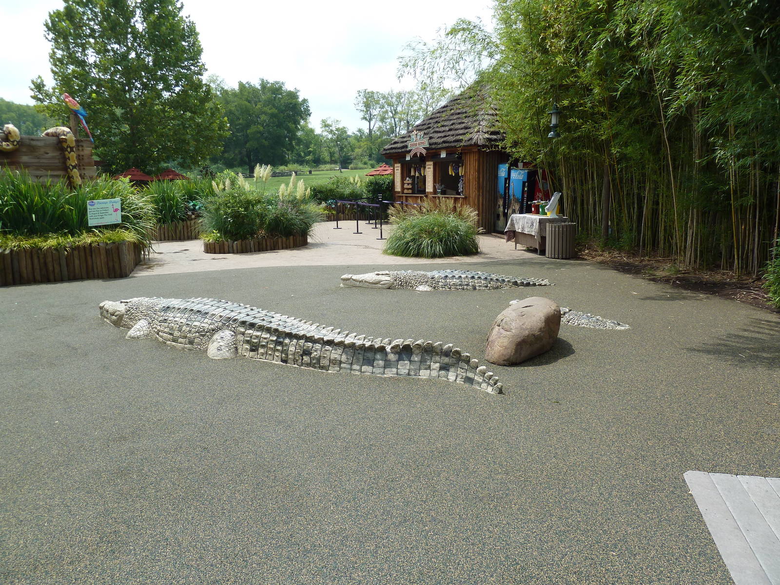 Jungle Gym - Entrance