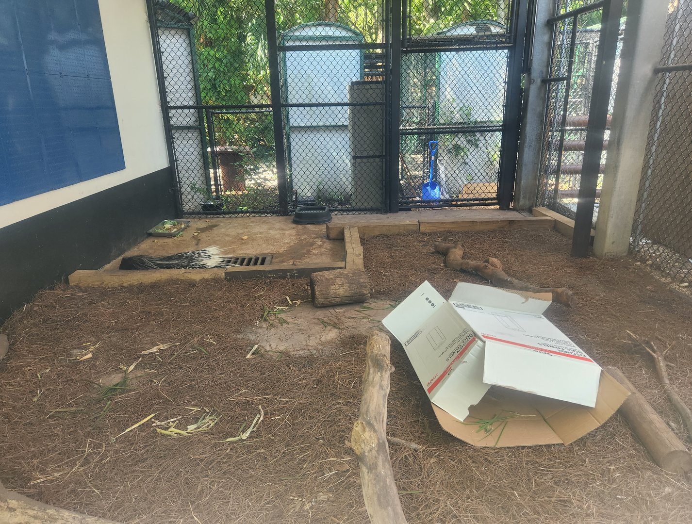 Jungle Island - Cape Porcupine enclosure