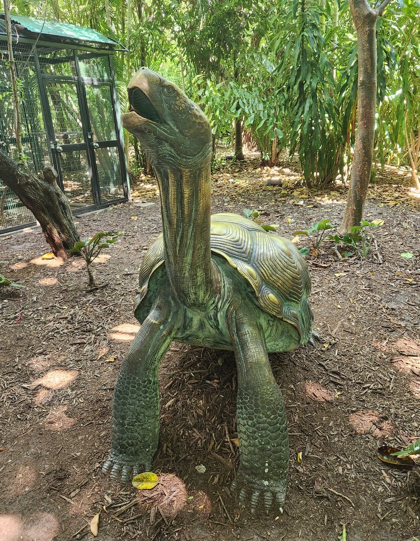 Jungle Island - Giant tortoise statue
