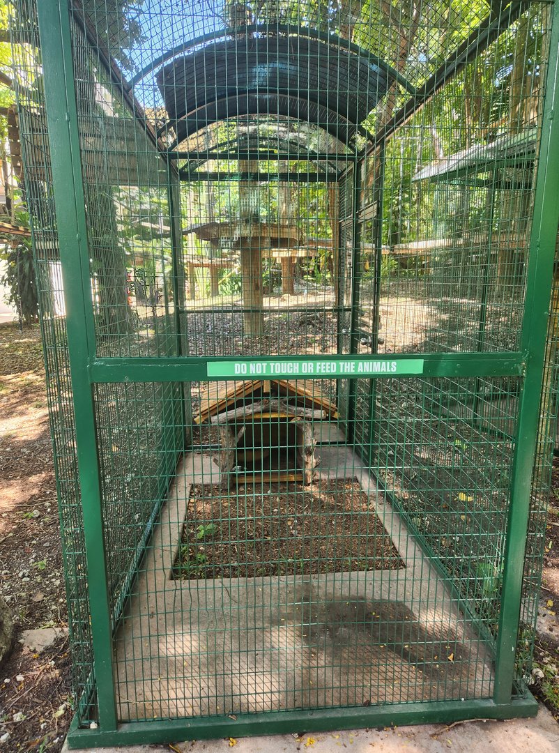 Jungle Island - Striped Skunk exhibit