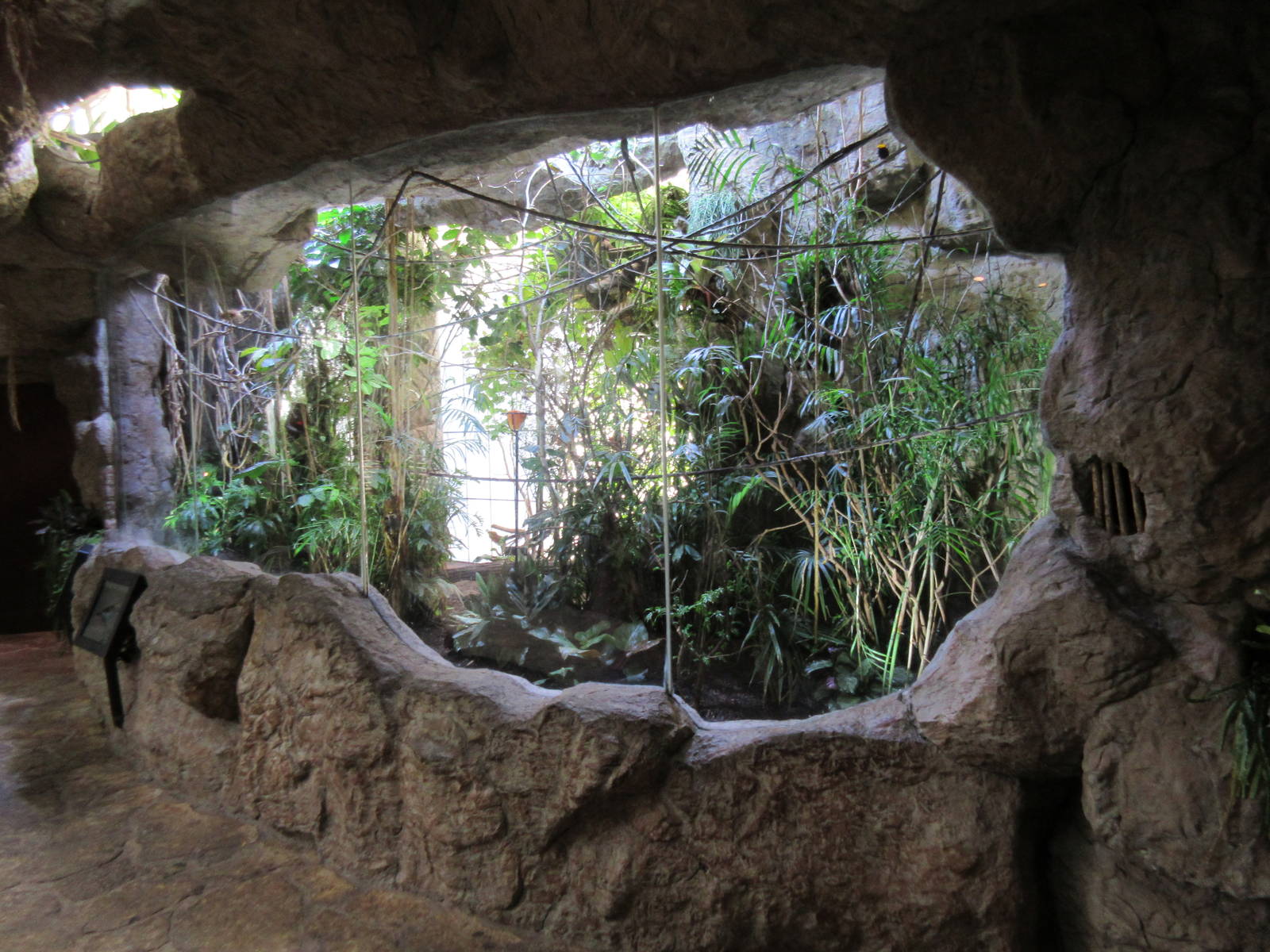 Jungle Jewels Aviary