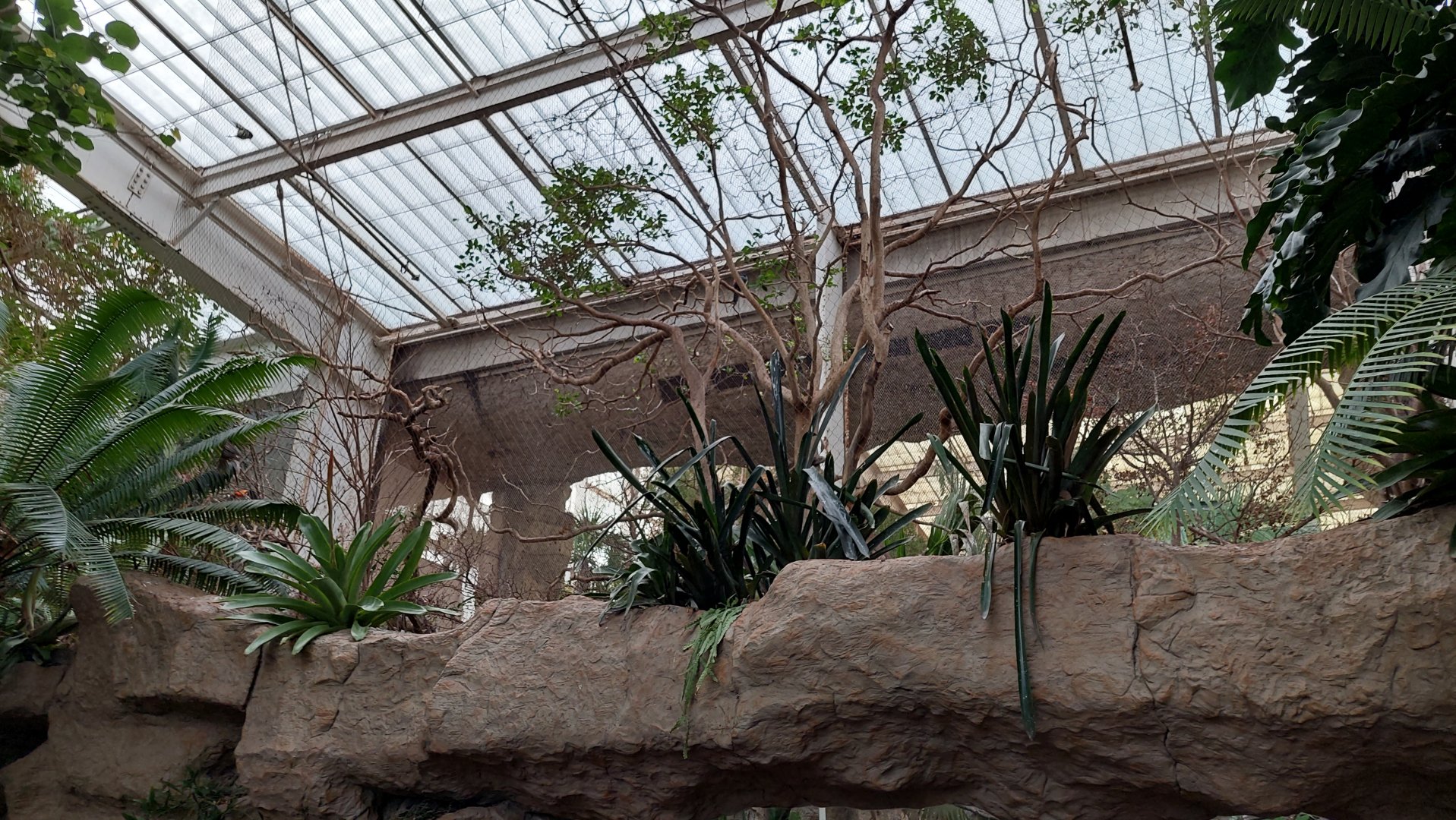 Jungle Junction Aviary