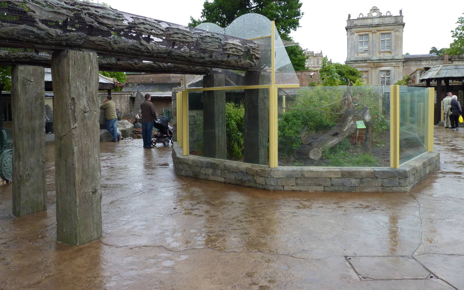 Jungle Kingdom - Coati (and Binturong?) Walkways