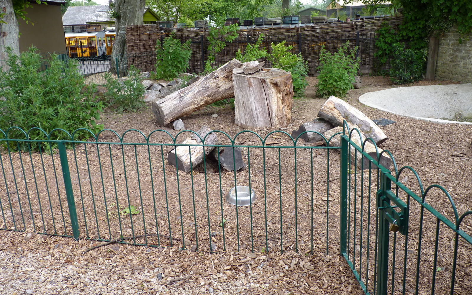 Jungle Kingdom - Giant Anteater Enclosure