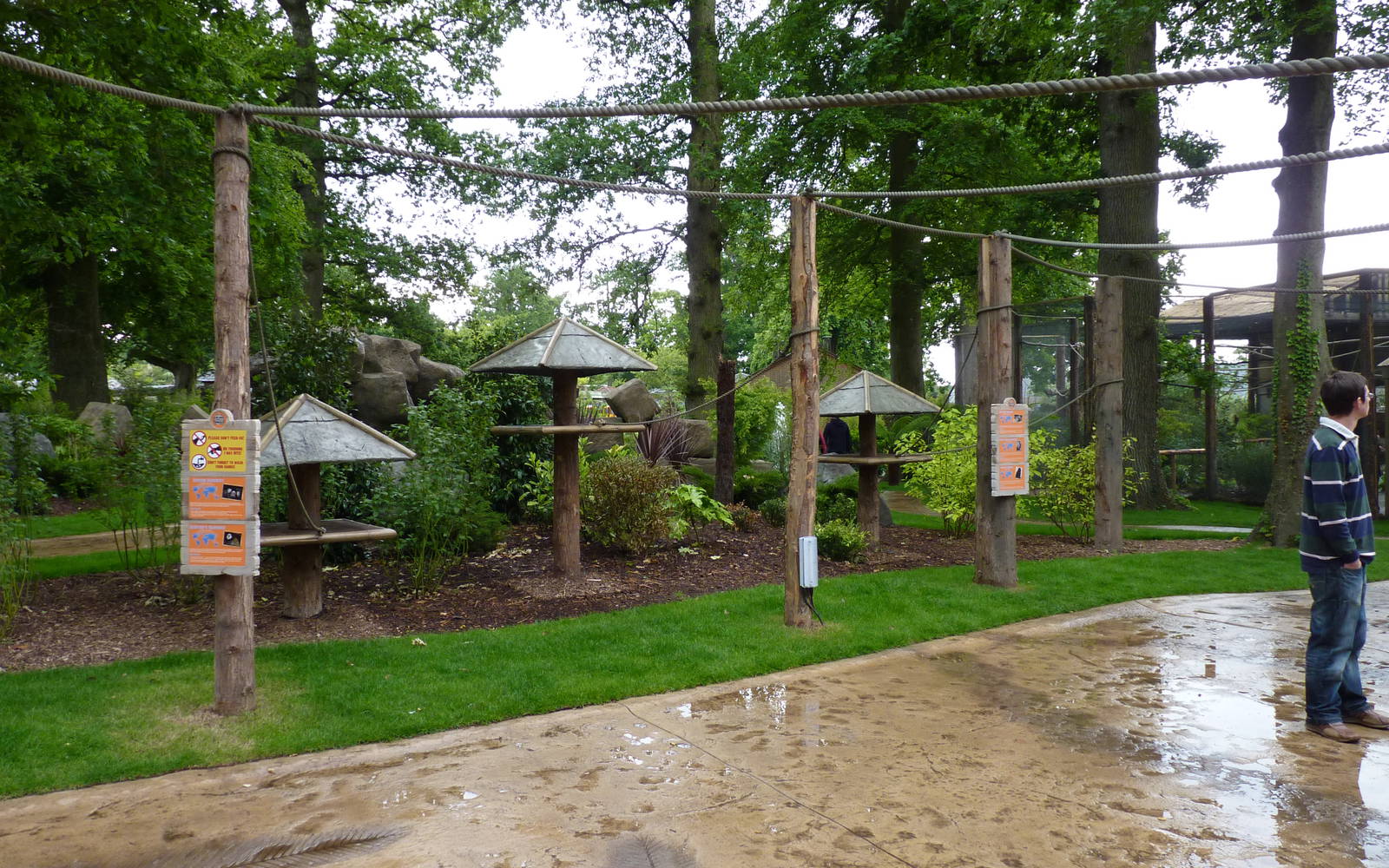 Jungle Kingdom - Monkey Temple