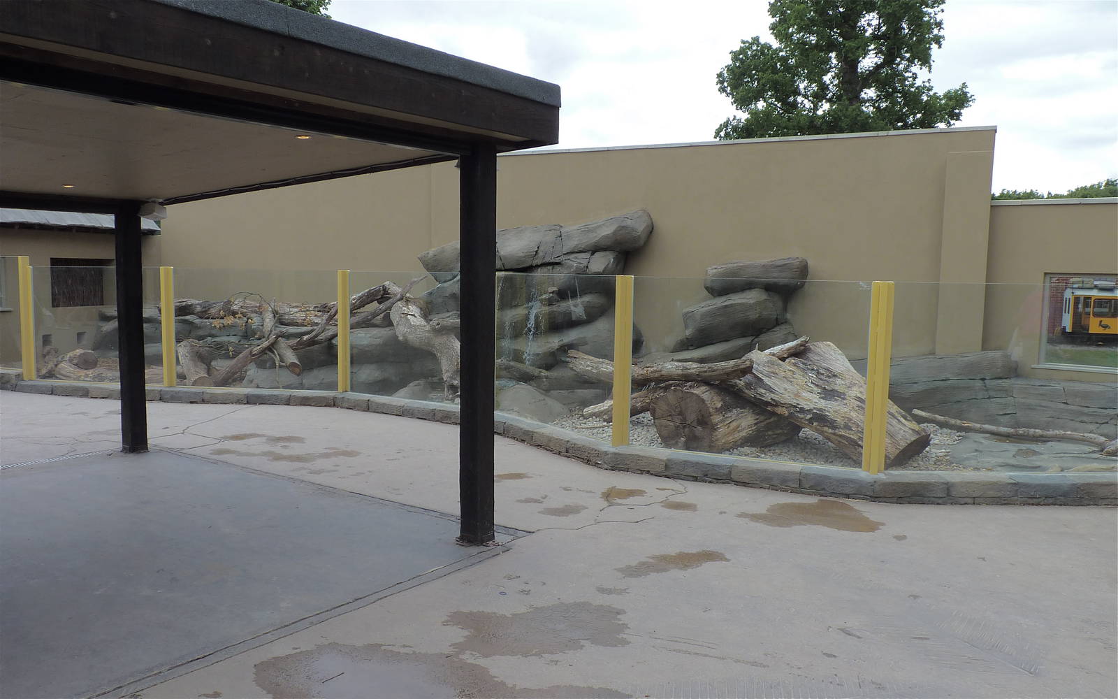 Jungle Kingdom - Short-Clawed Otter Enclosure