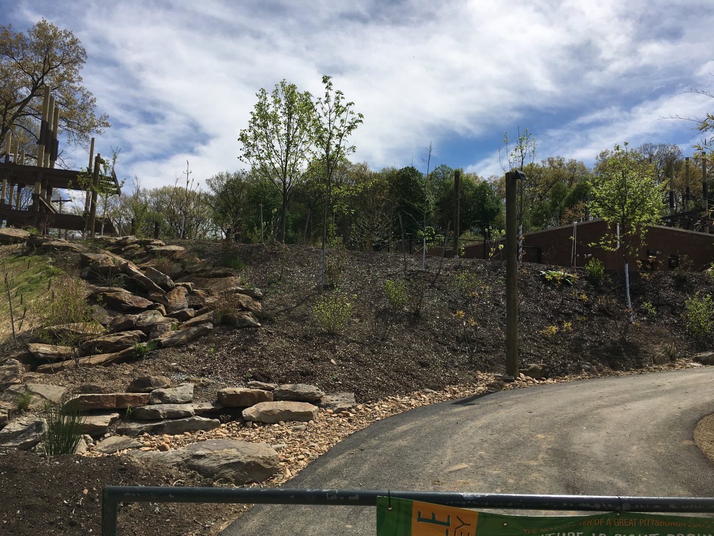 Jungle oddysey progress