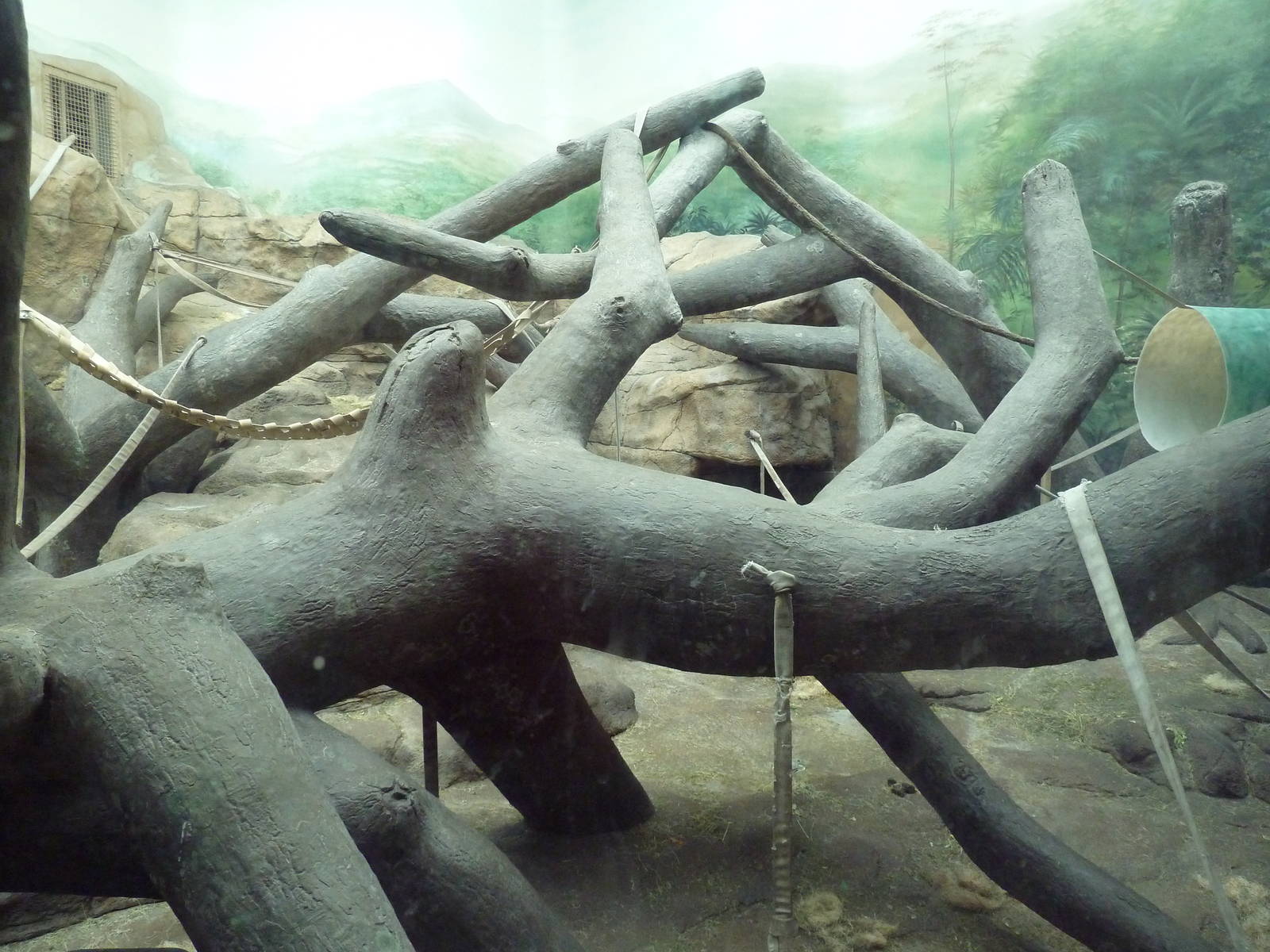 Jungle of the Apes - Gorilla Indoor Exhibit