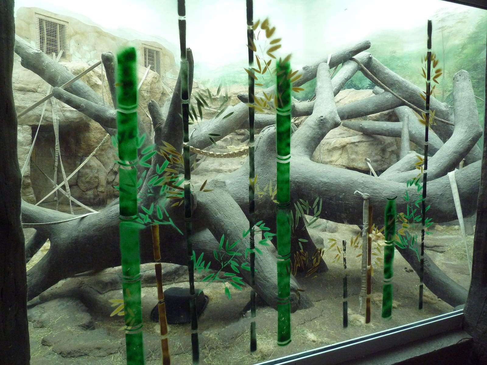 Jungle of the Apes - Gorilla Indoor Exhibit