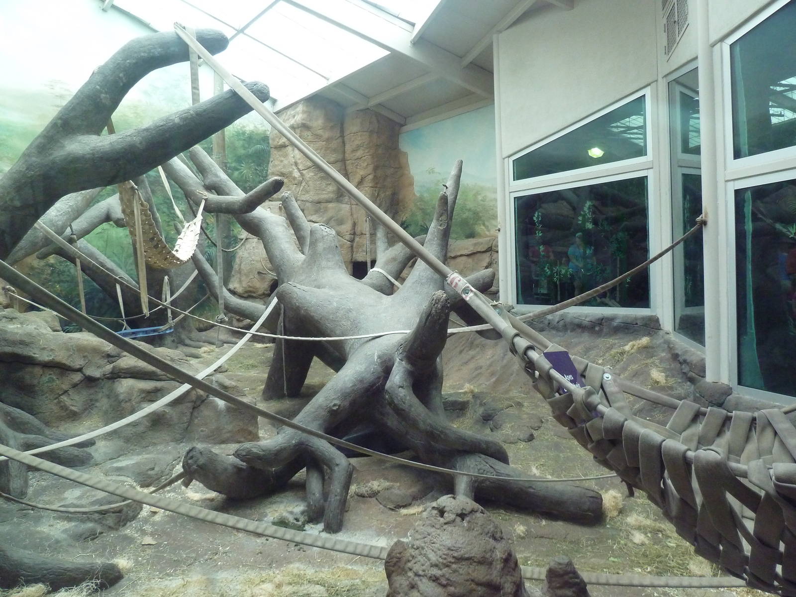 Jungle of the Apes - Gorilla Indoor Exhibit