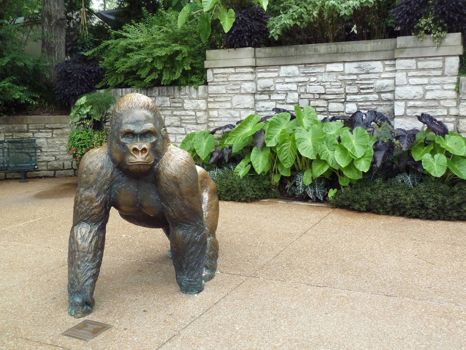 Jungle of the Apes - Gorilla Statue