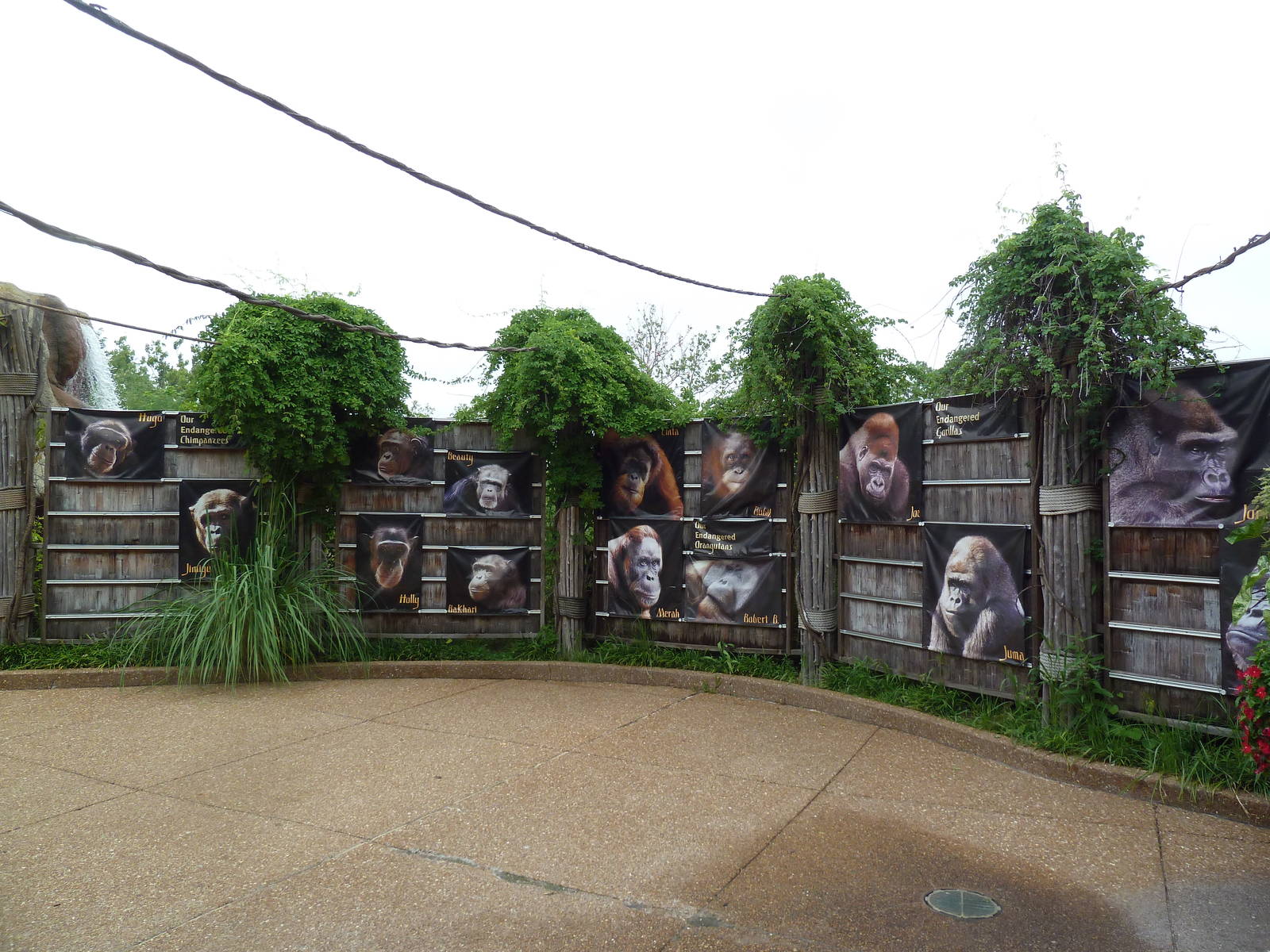 Jungle of the Apes - Signs of the Inhabitants