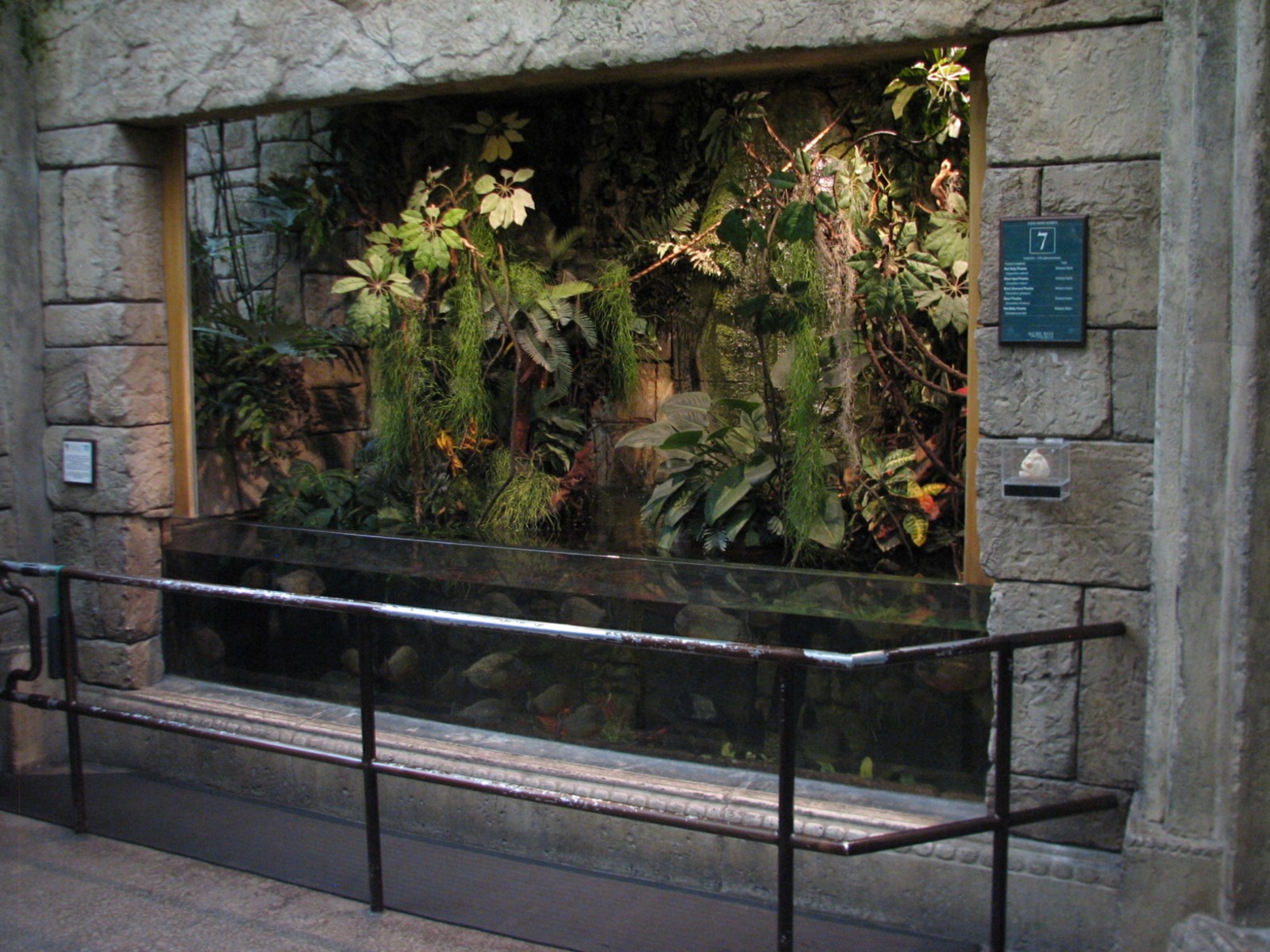 Jungle - Piranha Exhibit