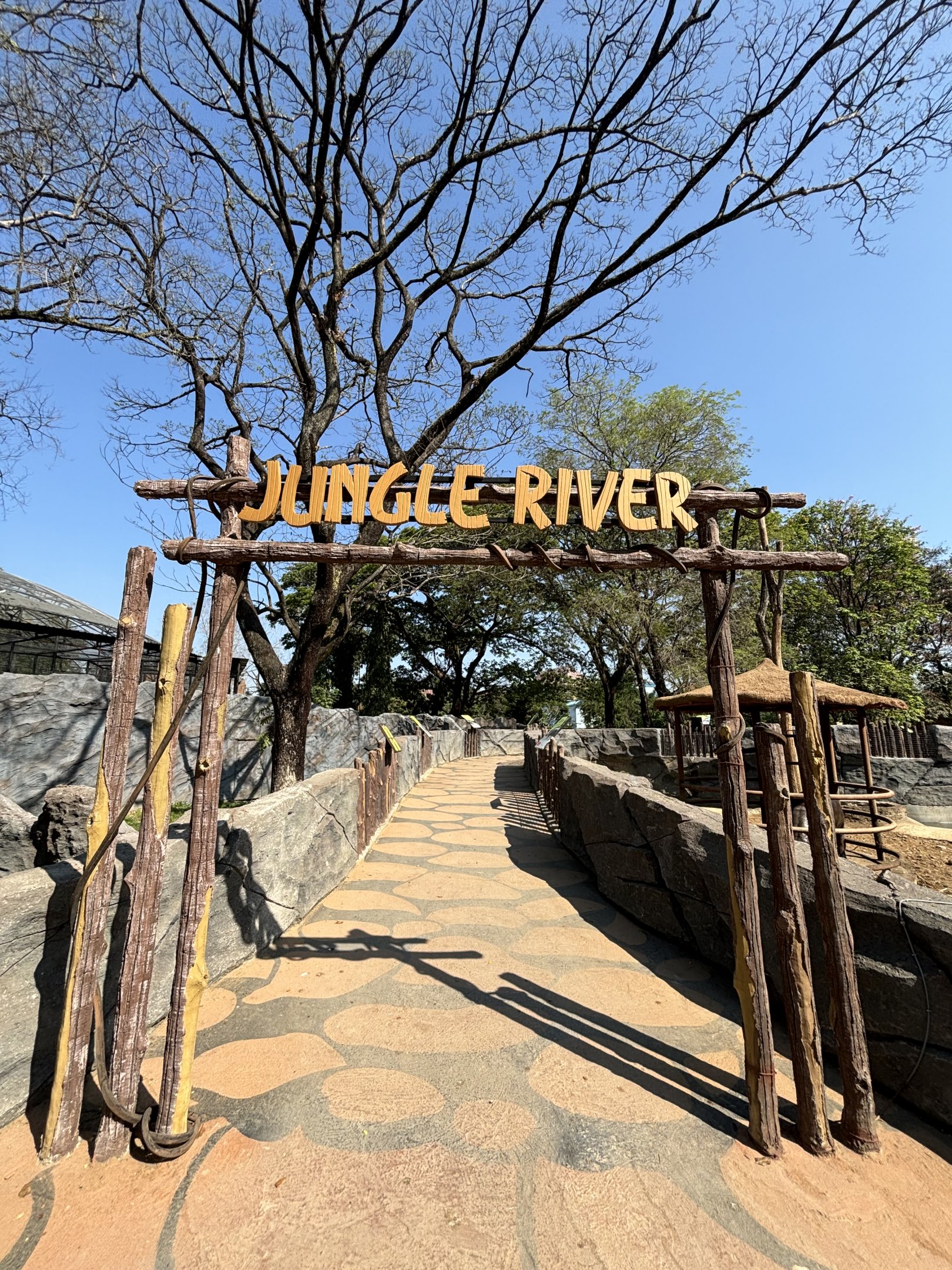 Jungle River Complex (4 species) - Solo Safari