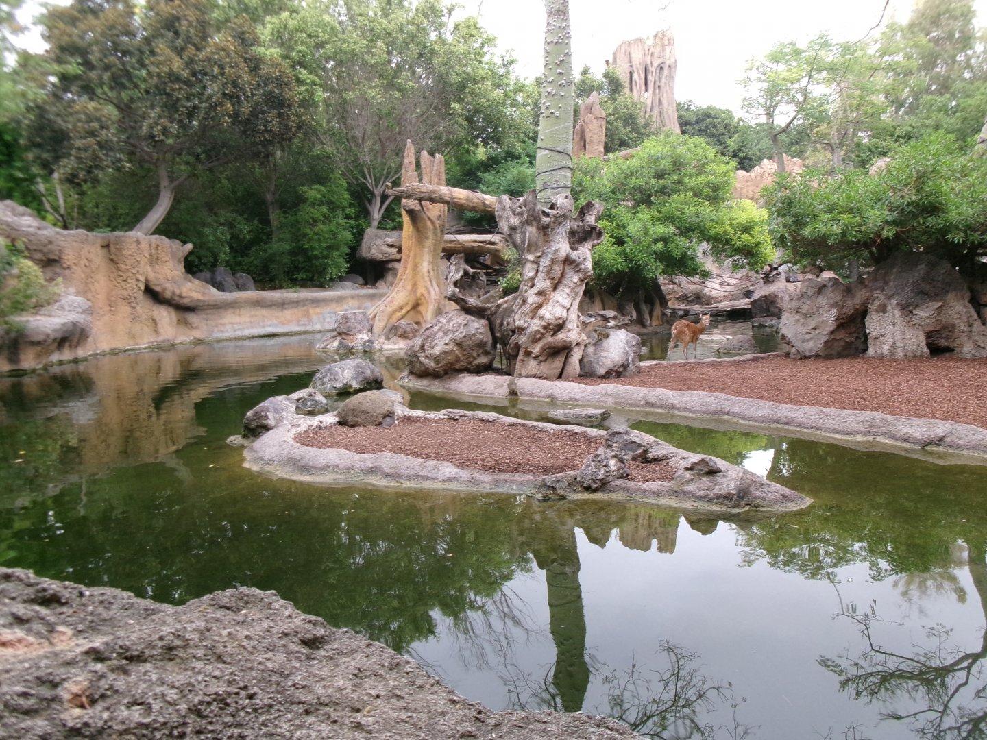 Jungle river exhibit