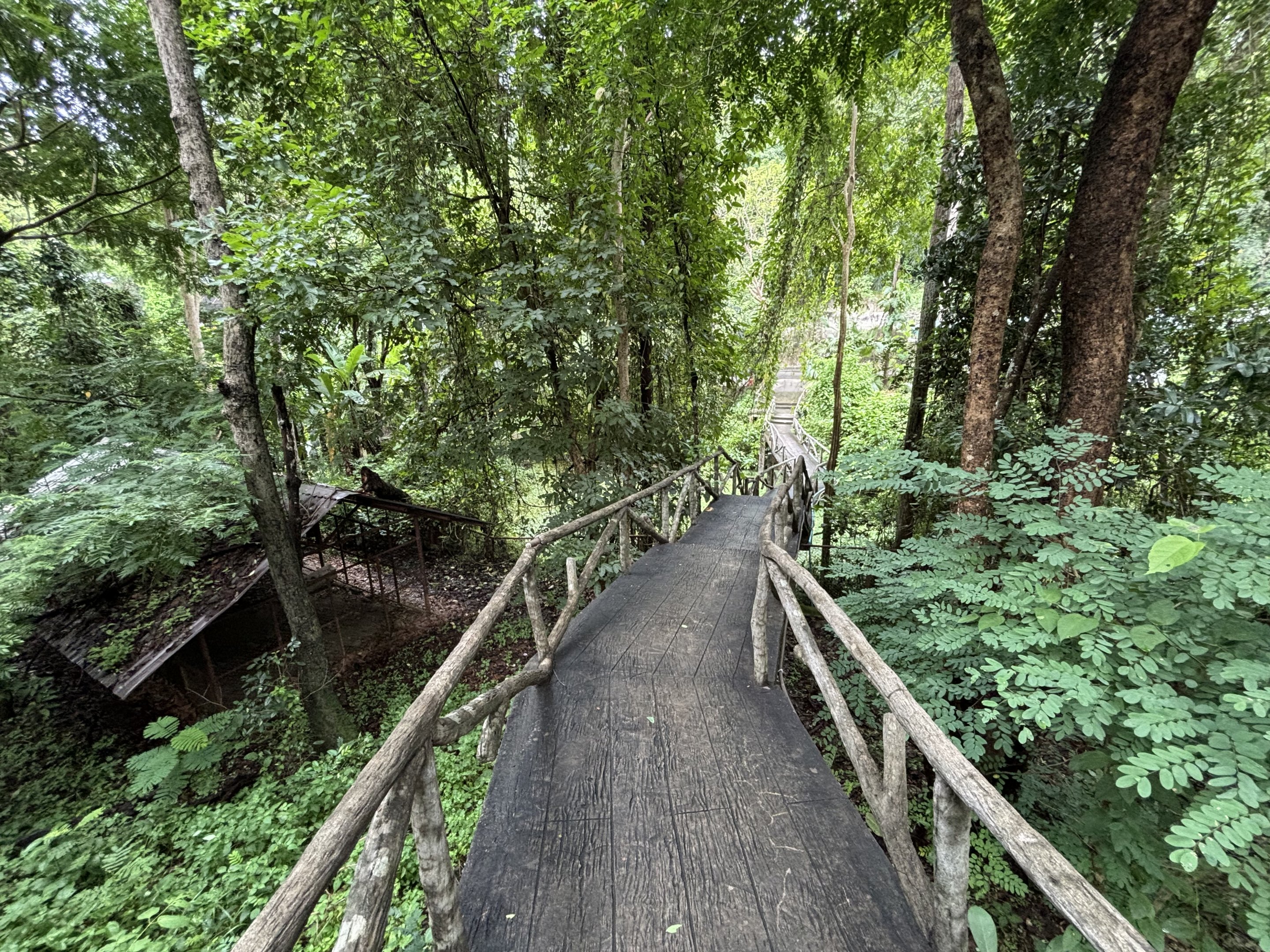 Jungle Trail + Abandoned Exhibit