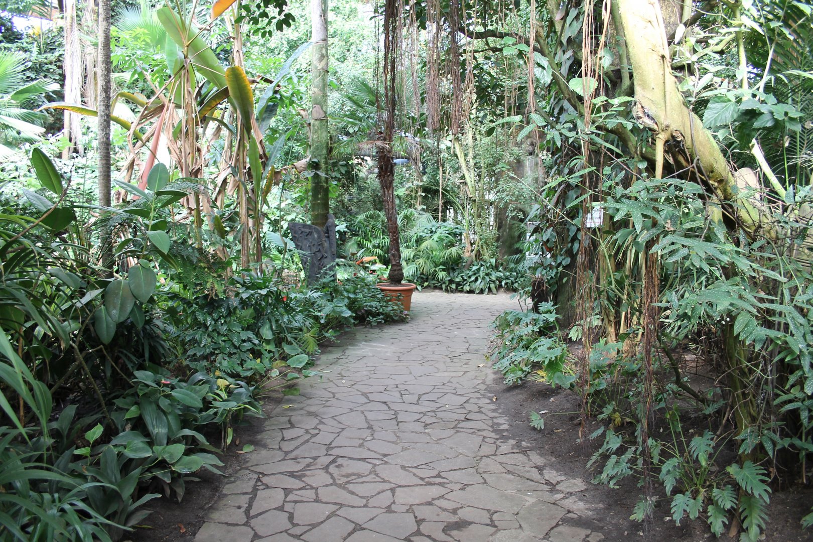 "Jungle trail" from the inside. (24/3-19)