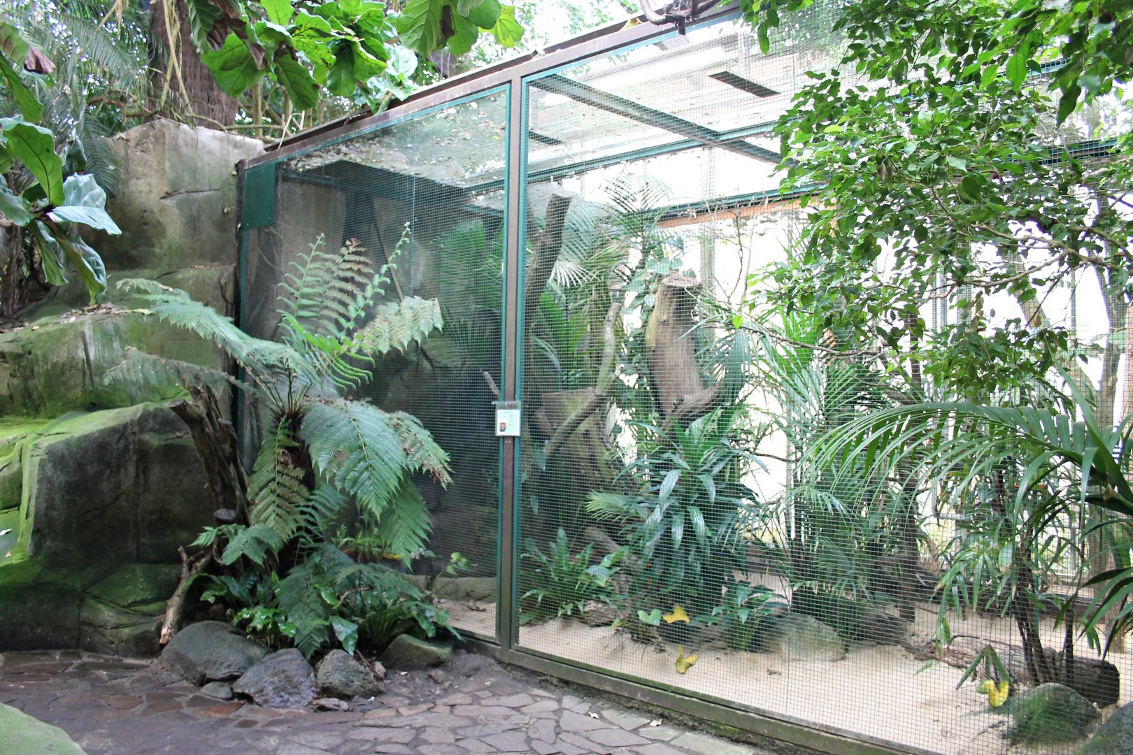 "Jungle trail" from the inside. (24/3-19)