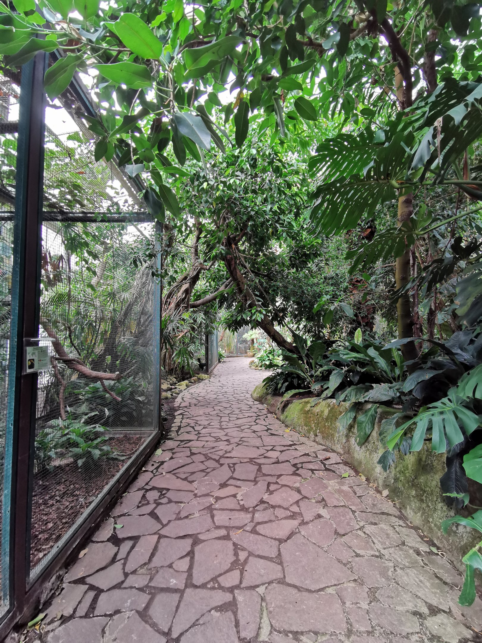 Jungle Trail - Path with aviaries