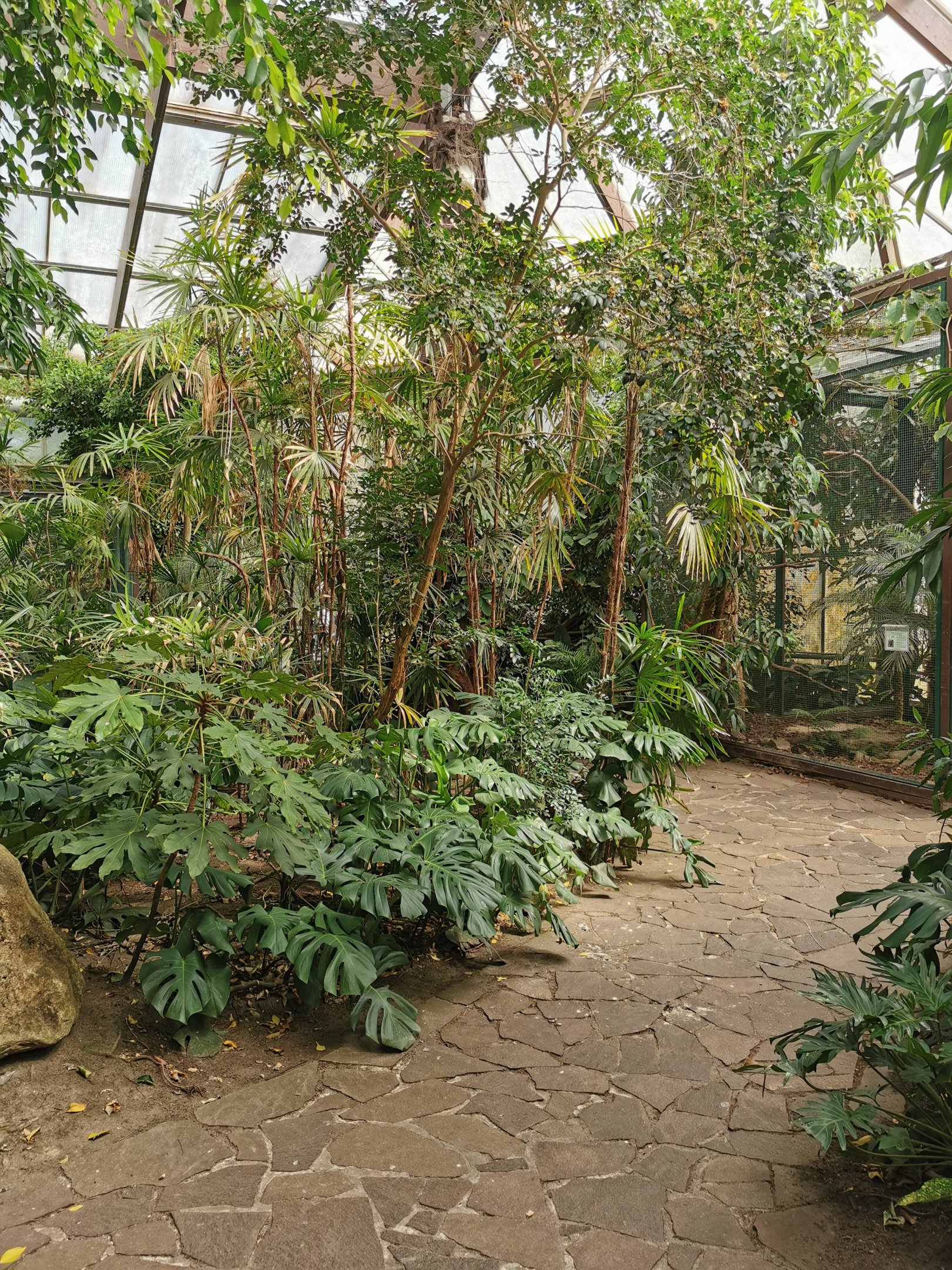 Jungle Trail - Path with aviary